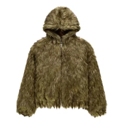 Sp5der Nocturnal Animal Jacket 'brown' In Multi