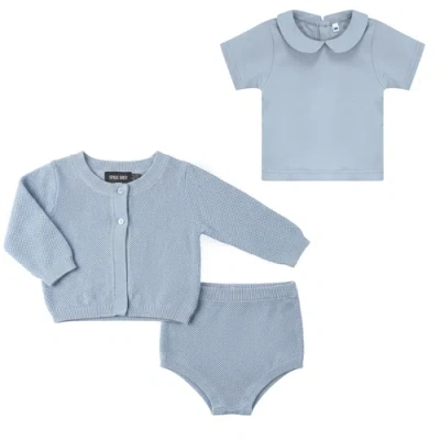 Space Grey Babies'  Boy Textured Knit Cardigan, Cotton Shirt And Shorts Set In Blue