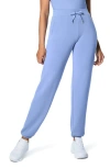 Spanx Airessentials Sweatpants In Cornflower Blue