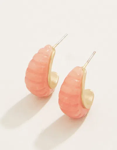 Spartina 449 Carved Hoop Earrings Coral In Pink