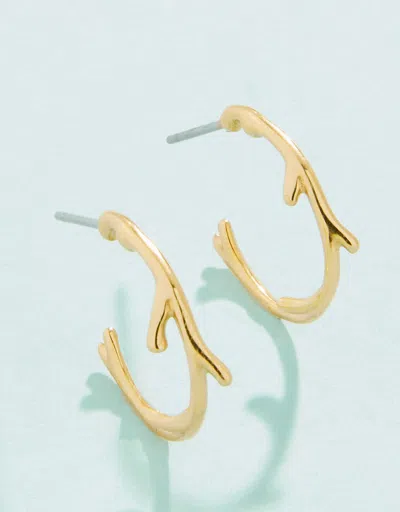 Spartina 449 Coral Hoop Earrings In Gold
