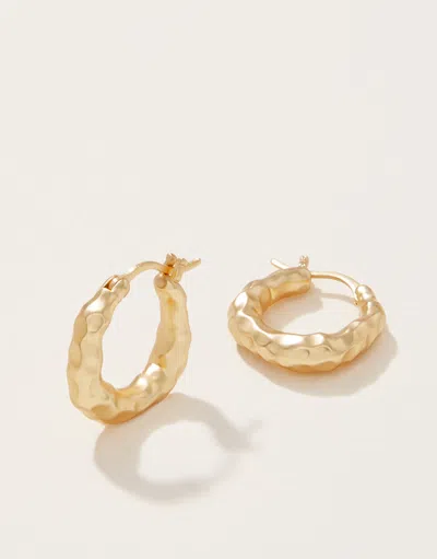 Spartina 449 Everyday Hoop Earrings In Gold