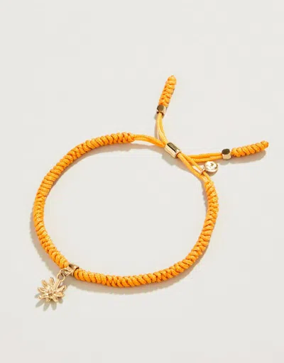 Spartina 449 Friendship Bracelet In Orange/daisy In Gold