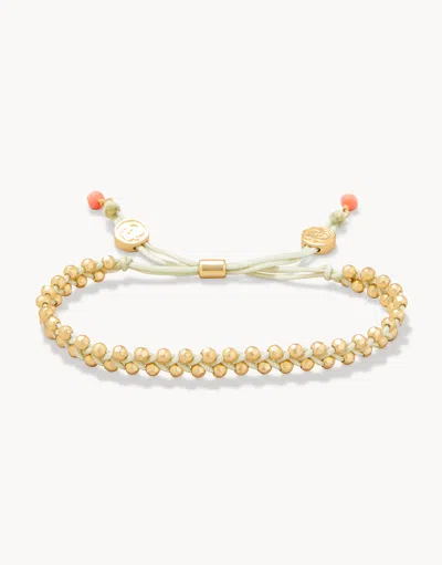 Spartina 449 Friendship Bracelet Sage/gold Beads