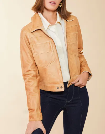 Spartina 449 Hayden Leather Jacket Au Lait Patina In Brown