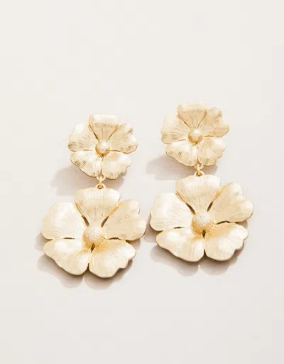 Spartina 449 Mcallister Earrings Gold In Neutral