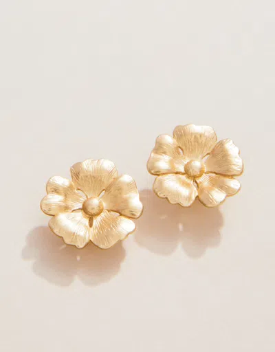 Spartina 449 Mcallister Stud Earrings Gold