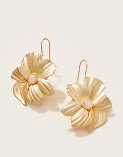 Spartina 449 Poppy Earrings In Gold