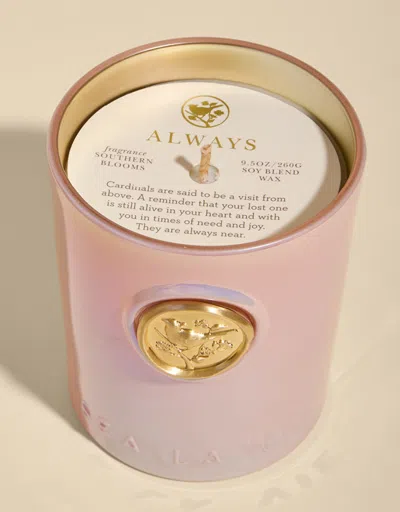 Spartina 449 Sea La Vie Always Cardinal Candle No. 10