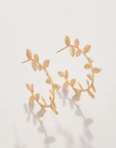 Spartina 449 Wildwood Hoop Earrings Gold