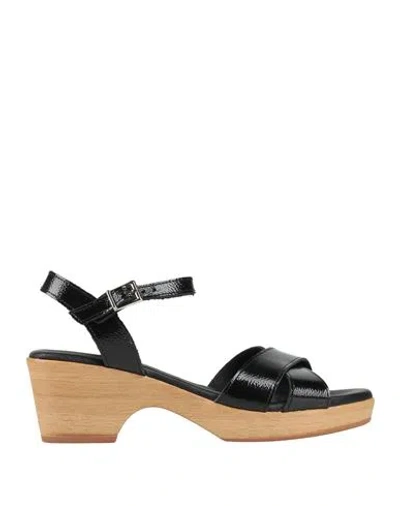 Sparwoman Woman Sandals Black Size 8 Leather