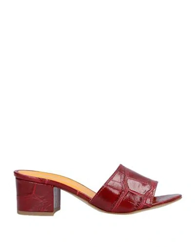 Spaziomoda Woman Sandals Burgundy Size 7 Soft Leather In Red