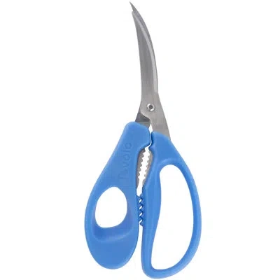 Spectrum Diversified All-purpose Kitchen Scissor In Blue