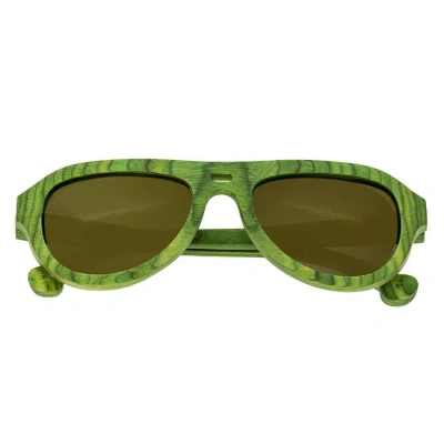 Spectrum Morrison Wood Sunglasses In Gold / Green / Spring