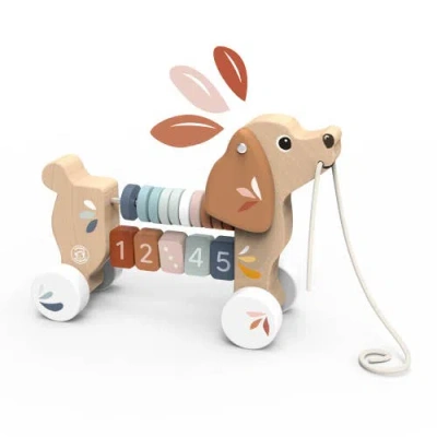 Speedy Monkey Kids'  Puppy Pull Along In Multi