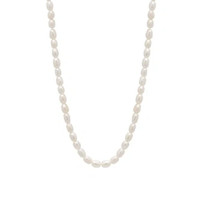 Spero London Natural Freshwater Real Seed Pearl Strand Necklace In White