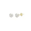 Spero London Women's 9ct Solid Gold Pearl Stud Earrings In Gold