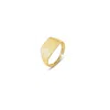 Spero London Women's Signature Rectangular Sterling Silver Signet Ring - Gold In Gold