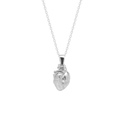 Spero London Women's Sterling Silver Anatomical Heart Necklace - Silver