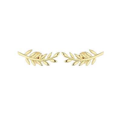 Spero London Women's Wheat Earrings Ear Of Wheat Sterling Silver Stud Earring - Gold