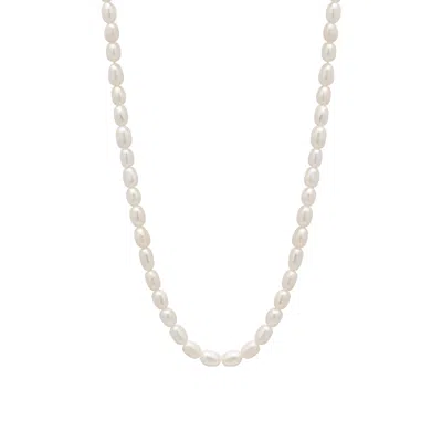 Spero London Women's White / Silver Natural Freshwater Real Seed Pearl Strand Necklace In Multi