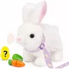 Sperric Interactive Easter Plush Bunny Toy Set With Spinner Egg In Multi