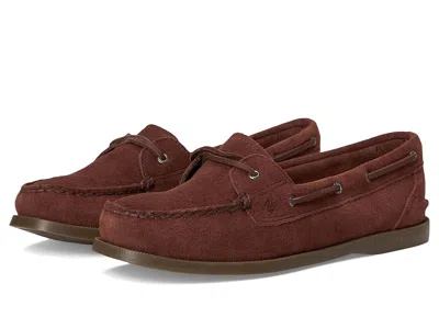 Sperry Ao 1 Eye In Brown