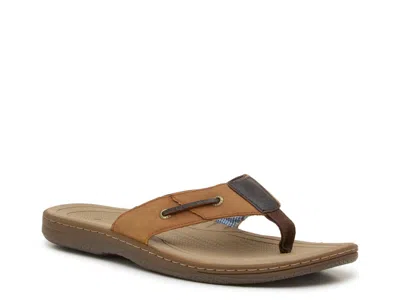 Sperry Baitfish Sandal In Brown
