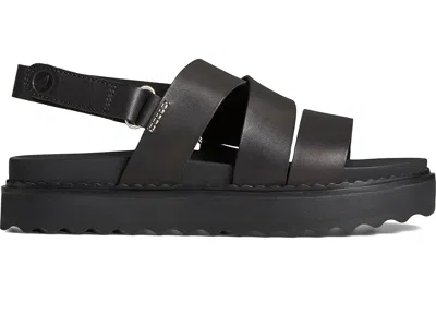 Sperry Cami Flatform In Black