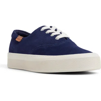 SPERRY SPERRY CANDY CVO PLATFORM SNEAKER