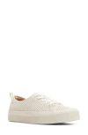 Sperry Candy Low Top Sneaker In Ecru Leather Smooth