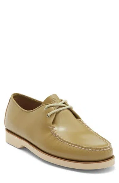 Sperry Captain's Oxford Shoe In Brown