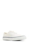 Sperry Classic Cvo Sneaker In White