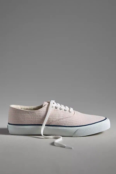 Sperry Classic Cvo Sneakers In Pink
