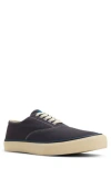 Sperry Classic Evo Sneaker In Black