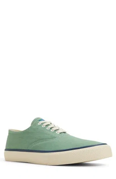 Sperry Classic Evo Sneaker In Green