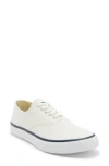 Sperry Classic Cvo Canvas Sneaker In White