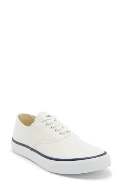 SPERRY SPERRY CLASSIC EVO SNEAKER
