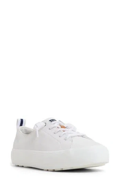 Sperry Cove Lace-to-toe Sneaker In White