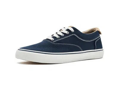 Sperry Cvo Helm Low Top Sneaker In Blue