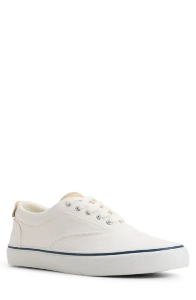 Sperry Cvo Helm Low Top Sneaker In White