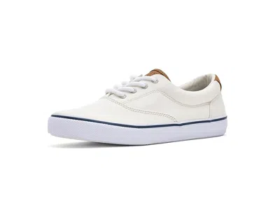 Sperry Cvo Striper Ii (little Kid/big Kid) Boy's Shoes White Canvas : 2 Little Kid M, Cotton/textile In Neutral