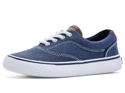 Sperry Cvo Striper Ii Sneakers (little Kid/big Kid) Boy's Shoes Midnight Blue Canvas : 1 Little Kid M, Cott In Multi