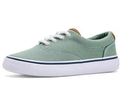 Sperry Cvo Striper Ii Sneakers (little Kid/big Kid) Boy's Shoes Sage Green Canvas : 2 Little Kid M, Cotton/ In Animal Print