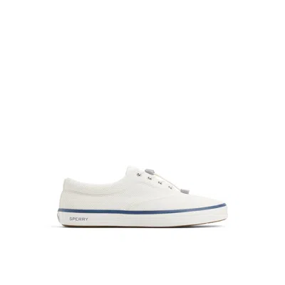 Sperry Fairlead Cvo Sneaker In Knit White