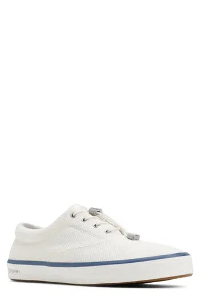 Sperry Fairlead Cvo Sneaker In White