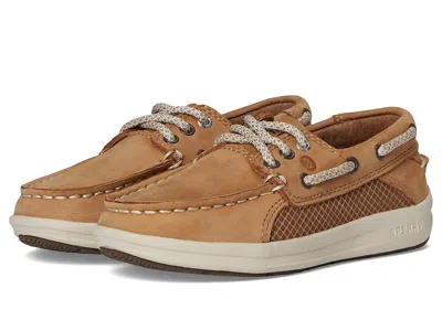 Sperry Gamefish (little Kid/big Kid) Boys Shoes Dark Tan 1 : 5 Big Kid M, Leather In Brown