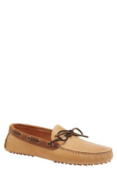 Sperry Gold 1 Driver Boat Shoe In Multi