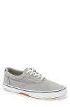 Sperry Halyard Saltwashed Low Top Sneaker In Twill Grey