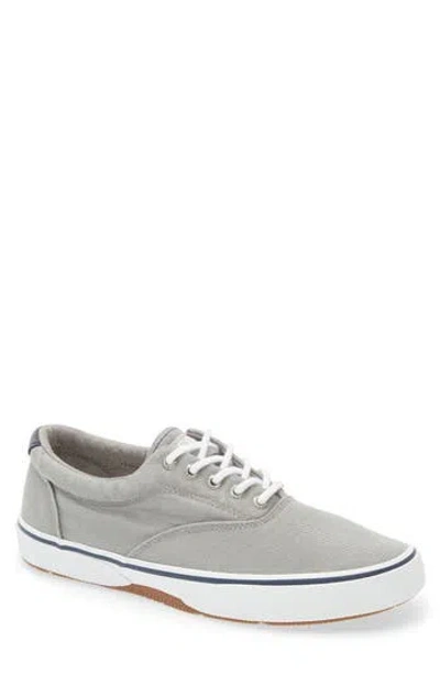Sperry Halyard Saltwashed Low Top Sneaker In Twill Grey